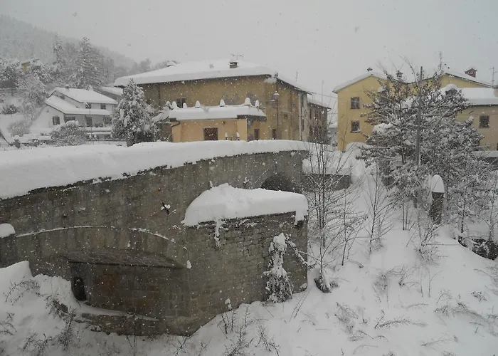 Del Ponte Couette-café